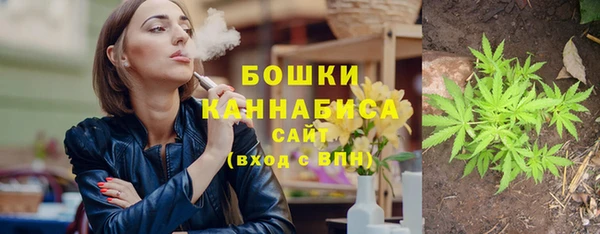стафф Кохма