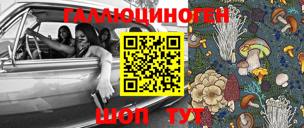 Псилоцибиновые грибы мицелий  Вход с VPN  Городец 