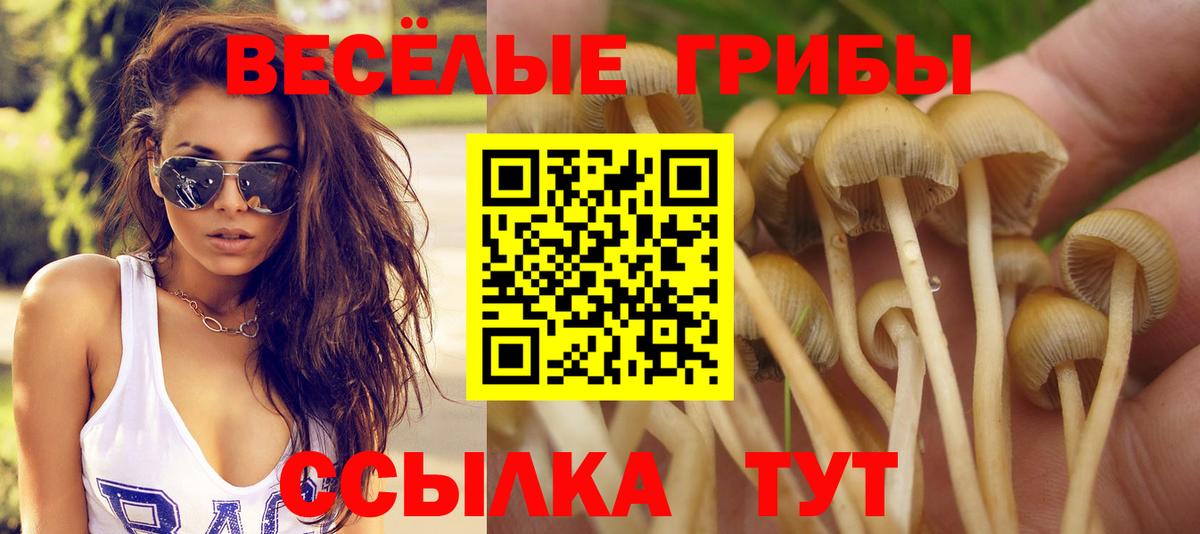 Псилоцибиновые грибы мицелий  Галлюциногенные грибы мухоморы  Городец 