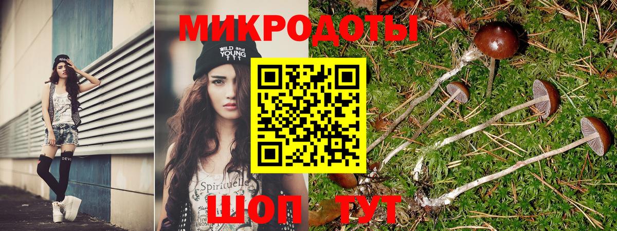 Галлюциногенные грибы Psilocybine cubensis Городец